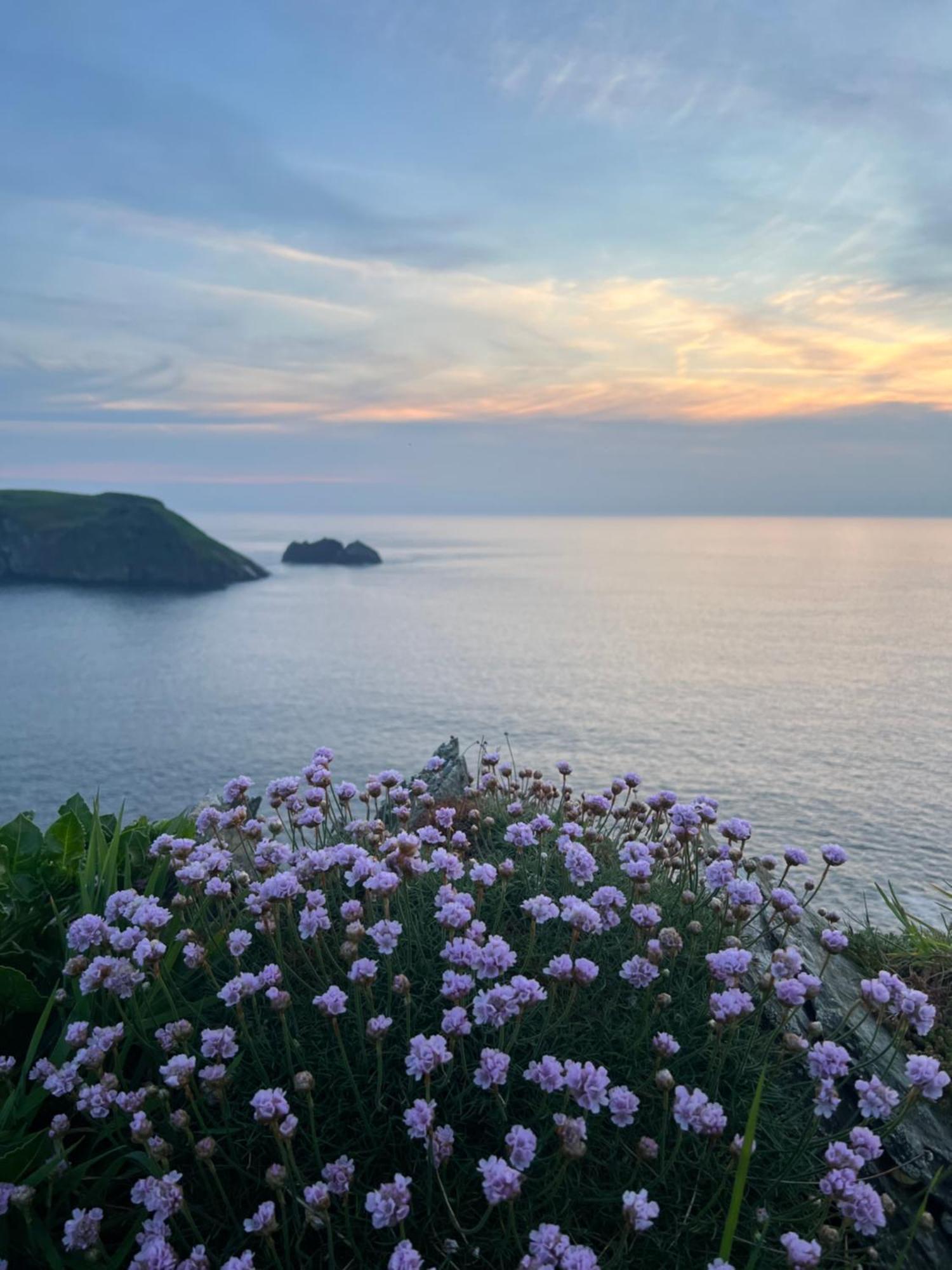 Courtyard Farm Cottages Boscastle Extérieur photo