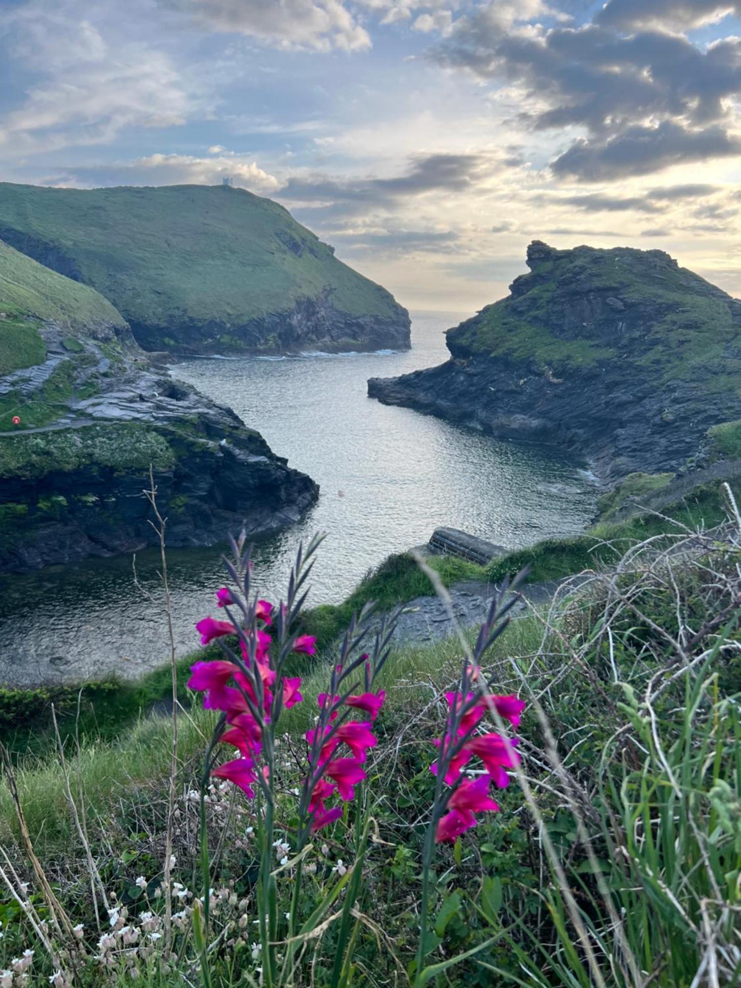 Courtyard Farm Cottages Boscastle Extérieur photo