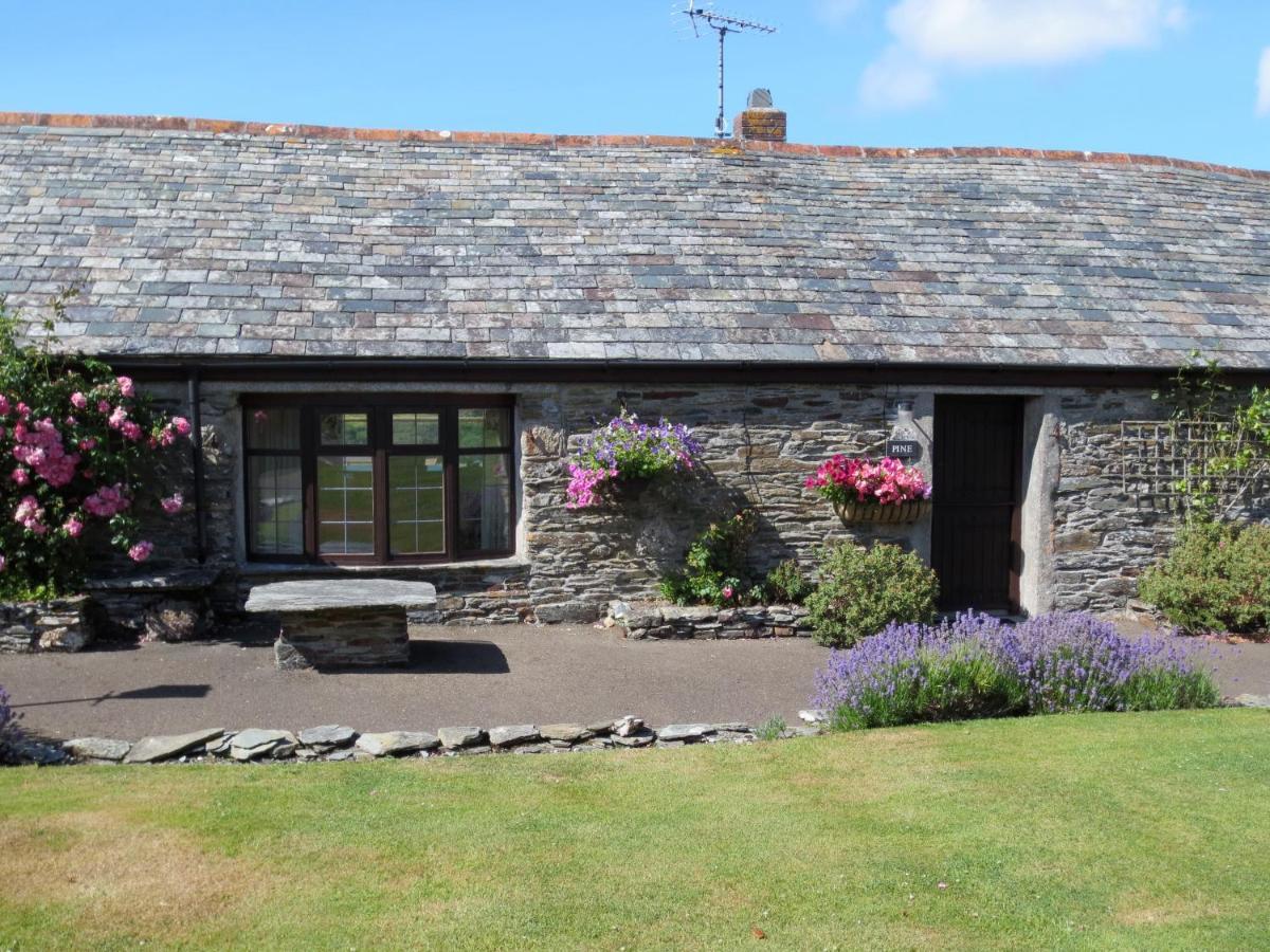 Courtyard Farm Cottages Boscastle Extérieur photo